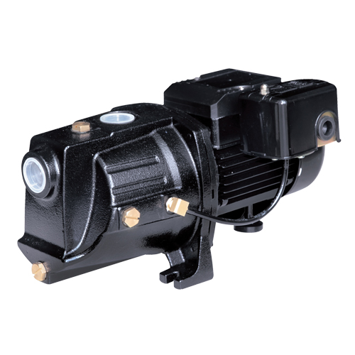 Pompe &agrave; jet en fonte &agrave; double tension pour puit peu profond, 230 V, 710 gal./h, 1/2 CV O-Max