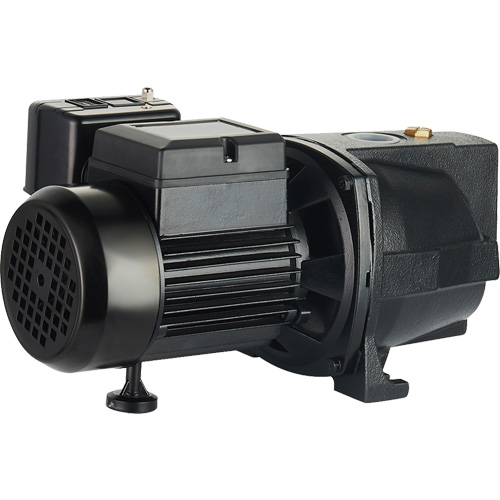 Pompe &agrave; jet en fonte &agrave; double tension pour puit peu profond, 115 V/230 V, 1100 gal./h, 1 CV O-Max