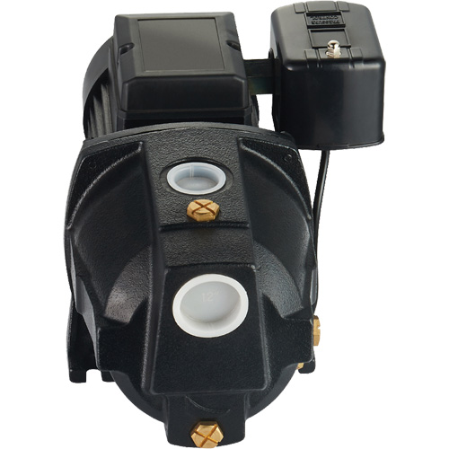 Pompe &agrave; jet en fonte &agrave; double tension pour puit peu profond, 115 V/230 V, 1100 gal./h, 1 CV O-Max