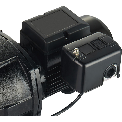Pompe &agrave; jet en fonte &agrave; double tension pour puit peu profond, 115 V/230 V, 1100 gal./h, 1 CV O-Max