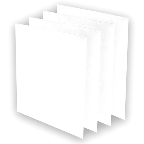 Pr&eacute;-filtres AeraMax Pro AM3 ou AM4, 13,75" la x 0,13" p x 14,38" h O-Max