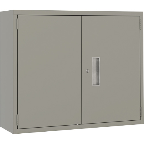 Armoire murale, Acier, 2 Tablettes, 30" h x 36" la x 12" P, Gris O-Max