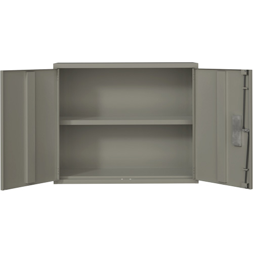 Armoire murale, Acier, 2 Tablettes, 30" h x 36" la x 12" P, Gris O-Max