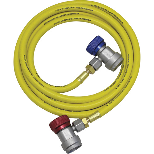 Ensemble flexible de rinçage pour syst&egrave;me de climatisation R134a O-Max