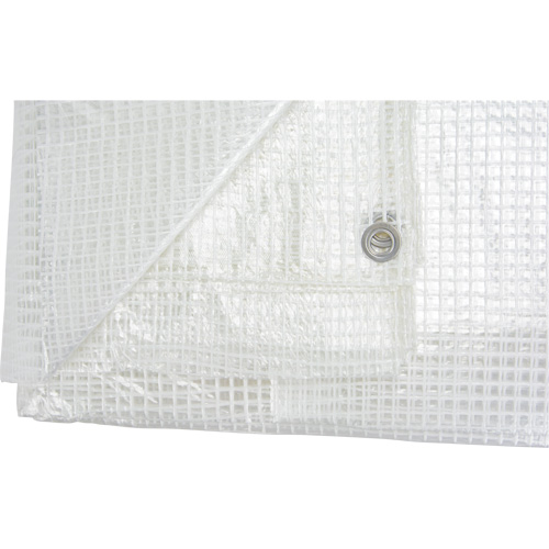Clear Tarp, 20' x 16' x 8 mils O-Max