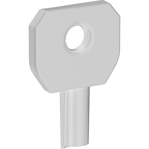 Cl&eacute; pour distributeur Lock or Not O-Max