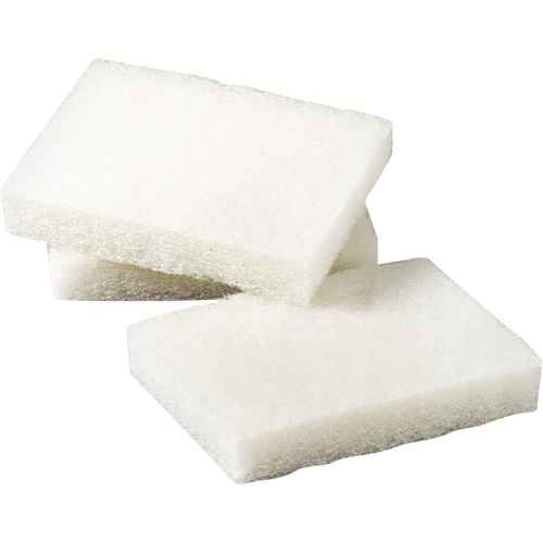 Tampon &agrave; r&eacute;curer pour petits travaux Scotch-Brite, 5" lo x 3-1/2" la O-Max