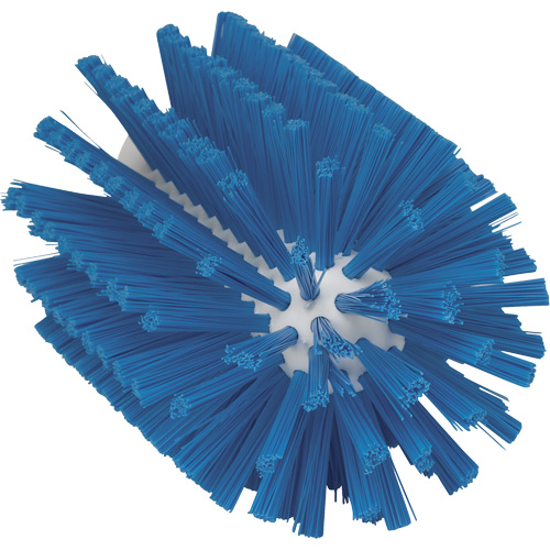 Grande brosse, Soies Moyen, Longueur de 6", Bleu O-Max
