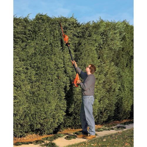 Ensemble de taille-haie sur perche sans fil Max* O-Max
