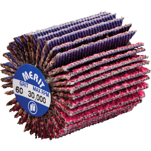 Mini-meule &agrave; lamelles filet&eacute;es, C&eacute;ramique d'alumine, Grain 60, 1" x 1" x 1/4"-20 O-Max