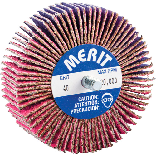 Mini-meule &agrave; lamelles filet&eacute;es, C&eacute;ramique d'alumine, Grain 40, 3" x 1" x 1/4"-20 O-Max