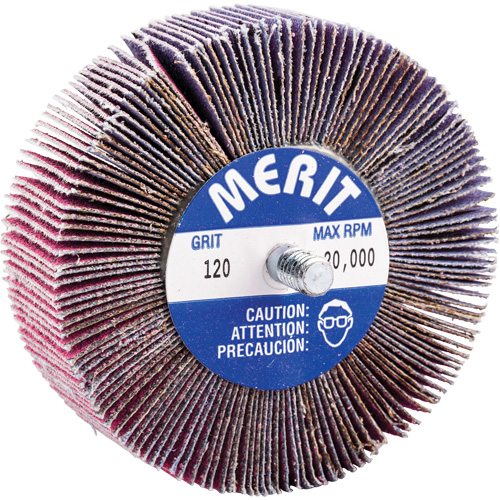 Mini-meule &agrave; lamelles filet&eacute;es, C&eacute;ramique d'alumine, Grain 120, 3" x 1" x 1/4"-20 O-Max