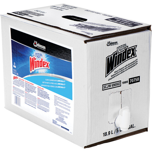 Nettoyant pour vitres Windex avec Ammoniac-D, 5 gal., Sac O-Max