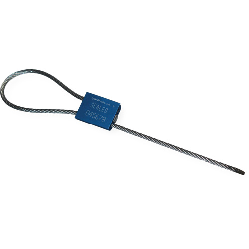 Scell&eacute; de s&eacute;curit&eacute; &agrave; c&acirc;ble Flexsecure FS35, 12", M&eacute;tal, Scell&eacute; &agrave; c&acirc;ble O-Max