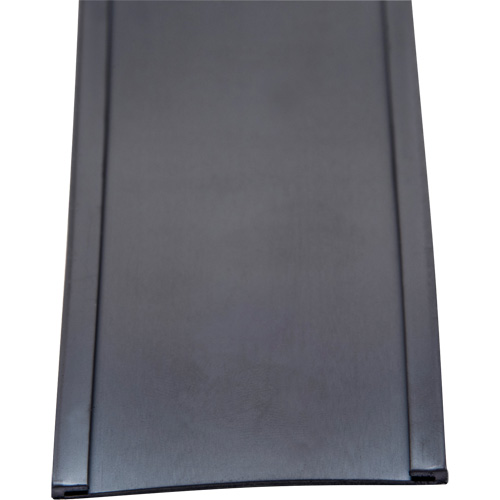 Card Holder, Magnetic, 600" L x 2" W O-Max