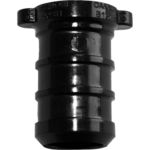 Pipe Plug, Pipe, 1/2" Dia., Polyalloy O-Max