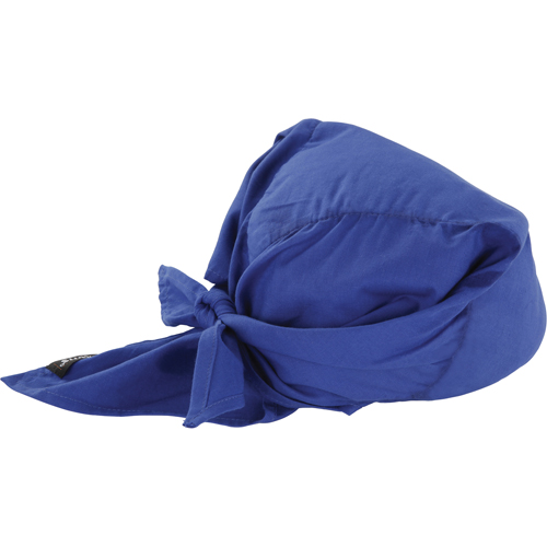 Chill-Its&reg; 6710CT Cooling Triangle Hats, Blue O-Max