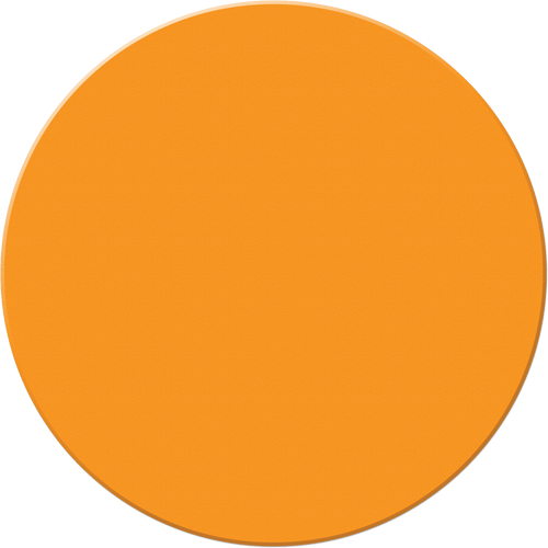 Marqueurs all&eacute;g&eacute;e/5S Armor Stripe, Cercle, 6" lo x 6" la, Orange, Plastique O-Max