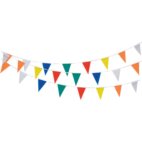 Pennant String, 60' L, Multicolour O-Max