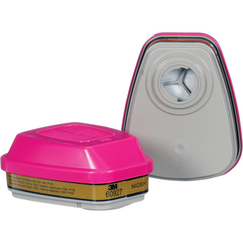 Cartouche, Combinaison cartouche et filtre contre les particules pour gaz/vapeurs, Gaz multiples/Vapeurs/P100 O-Max