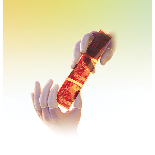 Doigtiers Qualatex en latex sans poudre QRP O-Max