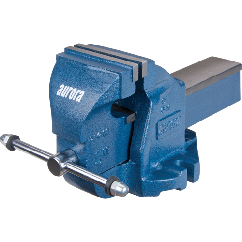 &eacute;tau d'&eacute;tabli robuste, Largeur des m&acirc;choires 5", Profondeur de la gorge 3-3/10" O-Max