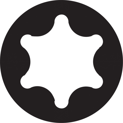 Sixpac Plus Multi-Bit Screwdriver -Replacement Bit, Torx, 30, 1/4" Drive O-Max