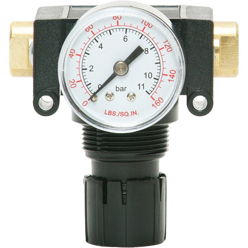 MODULAIR 200 Acetal Piston Regulator, 1/4" NPT, 150 PSI Max. PSI, In Line/Modular O-Max