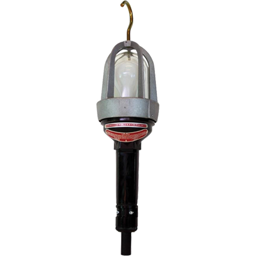 Baladeuses pour emplacements dangereux, DEL, 20 W, 2400 Lumens O-Max