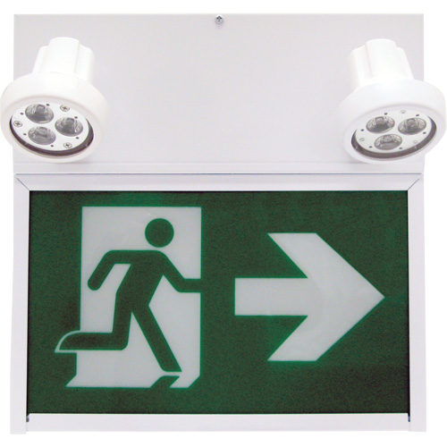 Enseigne de sortie coureur, DEL, &agrave; piles/&agrave; raccordement fixe, 12" lo x 12 1/2" la, Pictogramme O-Max