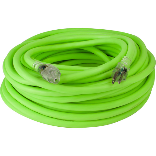 Cordon rallonge industriel Flexzilla Pro, Toutes saisons, SJTW, AWG 10/3, 15 A, 100' O-Max