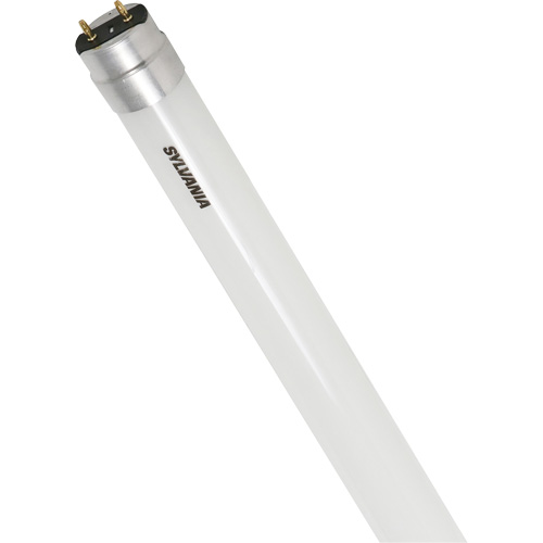 Ampoule DEL en verre givr&eacute; SubstiTUBE, 12 W, T8, 5000 K, 48" l O-Max