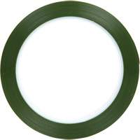Ruban en polyester, Polyester, 25,4 mm (1") la x 66 m (216') lo, 1,9 mils &eacute;pais O-Max