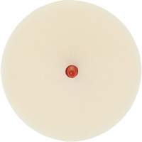 Scotch-Brite Moulding Adhesive & Stripe Removal Disc, 7501, 4" Dia. O-Max