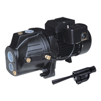Pompe &agrave; jet en fonte &agrave; double tension transformable, 230 V, 920 gal./h, 1 CV O-Max