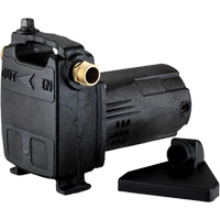 Portable Cast Iron Transfer Pump, 115 V, 950 GPH, 1/2 HP DC841 | O-Max