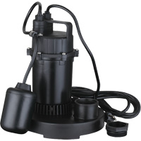 Pompe de puisard submersible thermoplastique, 2560 gal./h, 115 V, 4,6 A, 1/3 CV O-Max