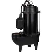 Pompe d'effluent en fonte, 4800 gal./h, 120 V, 7,8 A, 1/2 CV O-Max