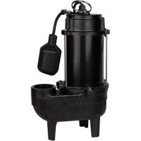 Pompe d'&eacute;gout en fonte, 120 V, 9,5 A, 6000 gal./h, 1/2 CV O-Max