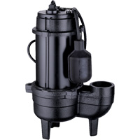 Pompe d'&eacute;gout en fonte, 120 V, 9,5 A, 6000 gal./h, 1/2 CV O-Max
