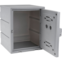 Casier, 15" x 15" x 18", Gris, Assembl&eacute; O-Max
