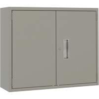 Armoire murale, Acier, 2 Tablettes, 30" h x 36" la x 12" P, Gris O-Max