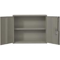 Armoire murale, Acier, 2 Tablettes, 30" h x 36" la x 12" P, Gris O-Max