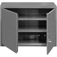 Armoire murale, 27" h x 29-7/8" la x 13-11/16" p, 2 tablettes, Acier, Gris O-Max