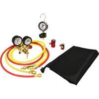 Automotive A/C Nitrogen Leak Test Kit with Regulator O-Max