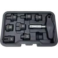 8 Pc. Oil Drain Plug Kit O-Max
