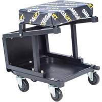2-in-1 Seat-Stool Combo O-Max