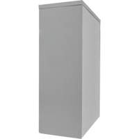 Counter-High Storage Cabinet, Steel, 2 Shelves, 42" H x 30" W x 15" D, Grey O-Max