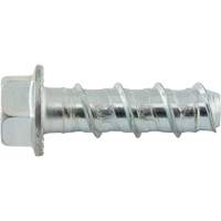 Wedge Bolts, Carbon Steel, 1/2" x 2" O-Max