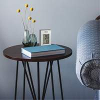 Thermom&egrave;tre sans fil int&eacute;rieur/ext&eacute;rieur, Sans contact, Analogique, 31-158°F (-35-70°C) O-Max